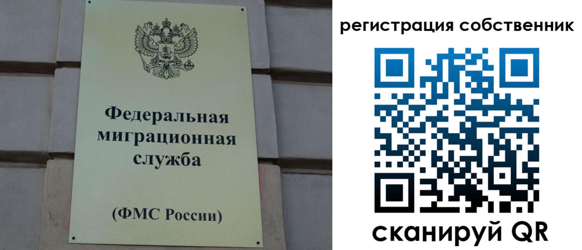 прописка гарантия в Новом Осколе